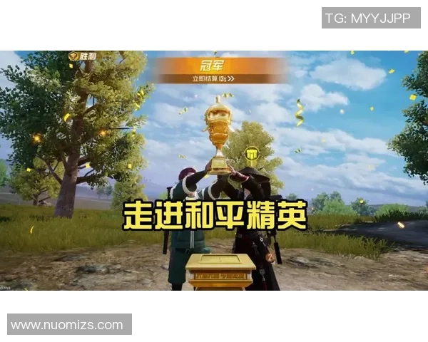 专访张芳揭秘和平精英成功背后的策略与创新之路